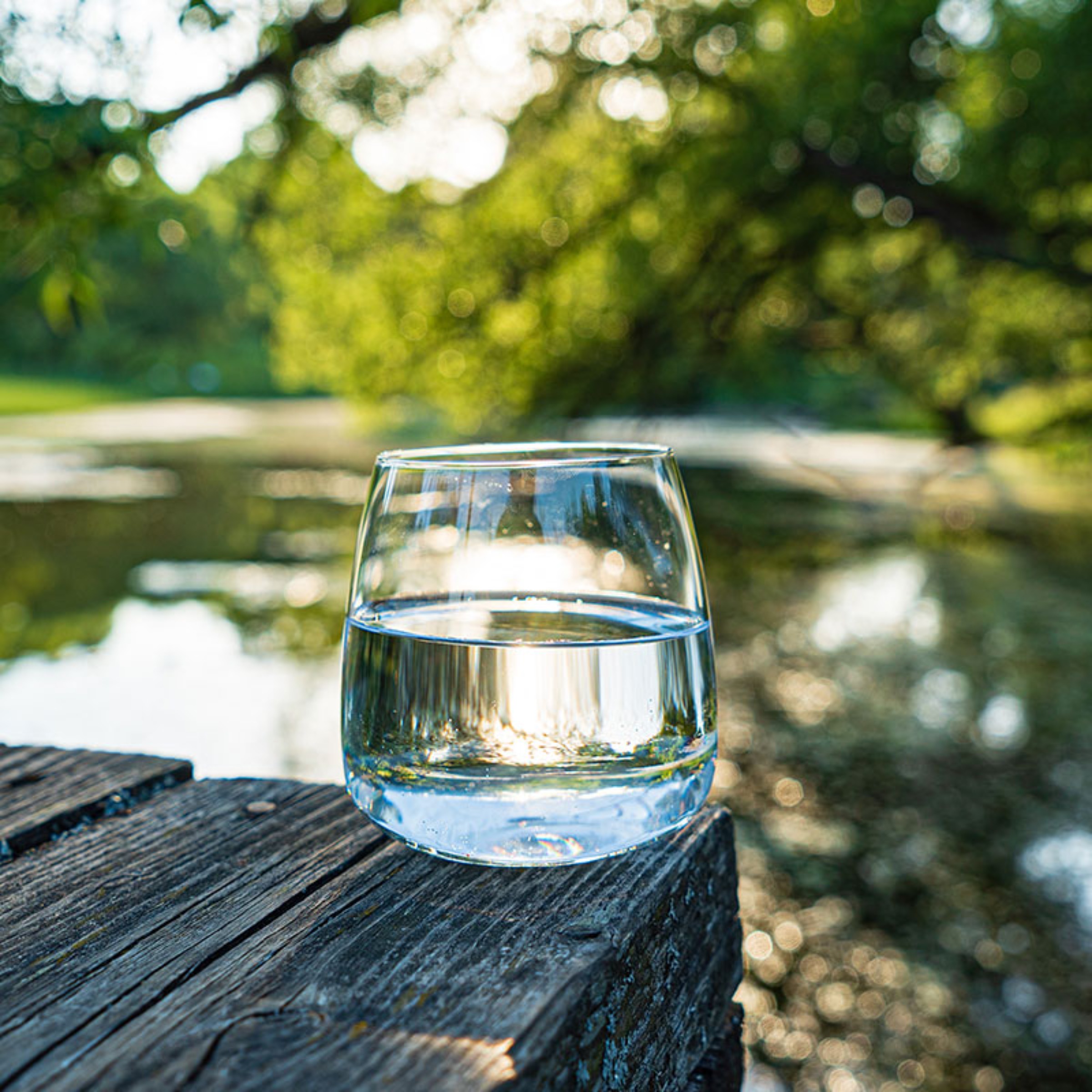 Ein Glas Wasser steht auf einem Steg von einem See. 